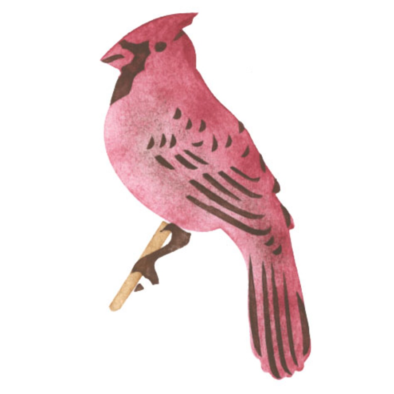 Cardinal Bird Wall Stencil | 455 by Designer Stencils | Animal & Nature Stencils | Reusable Art Craft Stencils for Painting on Walls, Canvas, Wood | Reusable Plastic Paint Stencil for Home Makeover | Easy to Use & Clean Art Stencil